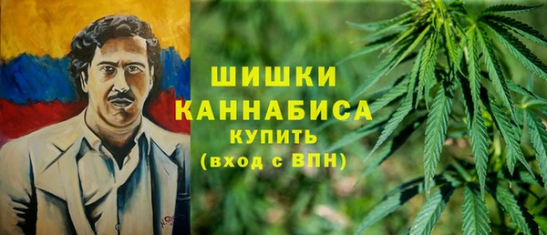 трава Арсеньев