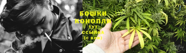 трава Арсеньев