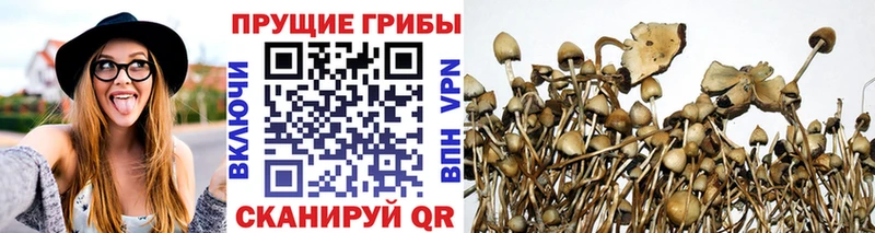 Галлюциногенные грибы мицелий купить сайты Мензелинск